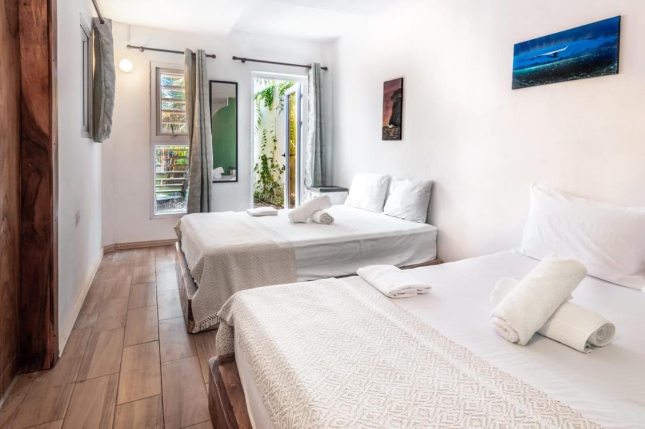 Zoah Surf Boutique Hotel, El Paredon El Paredón Buena Vista エクステリア 写真