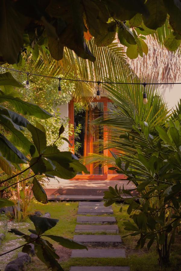 Zoah Surf Boutique Hotel, El Paredon El Paredón Buena Vista エクステリア 写真
